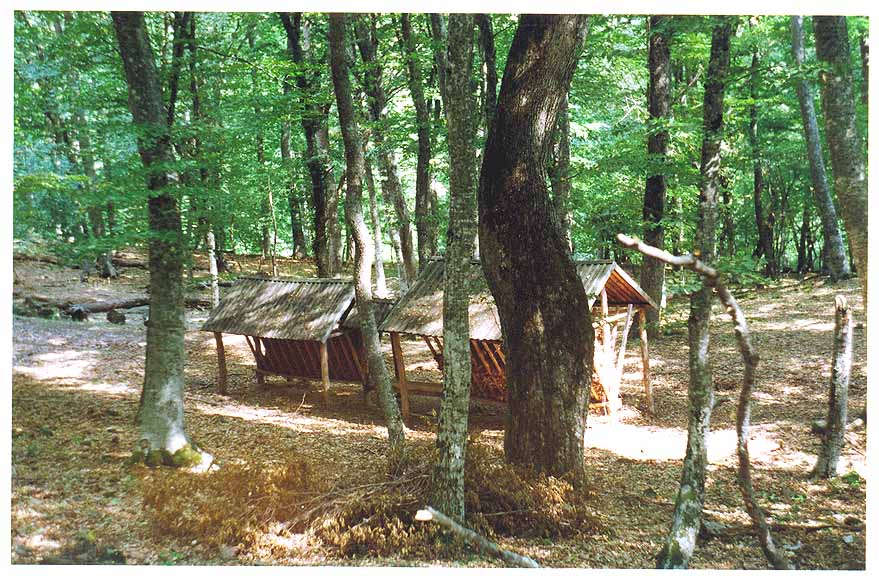 Кормушки для животных в лесных угодьях