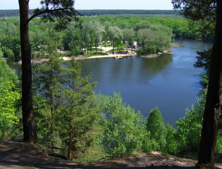 Заказник Гомельшанский лес