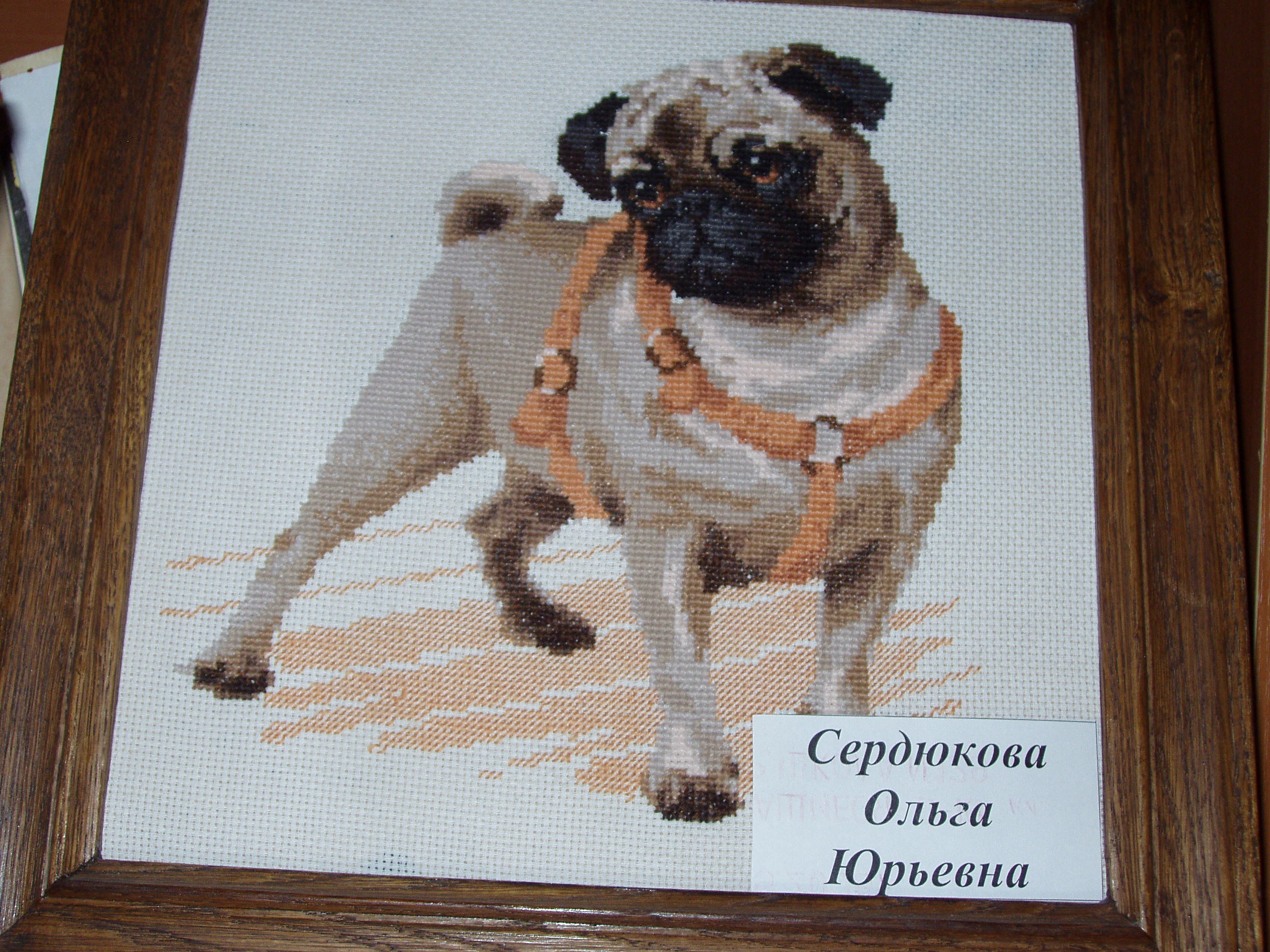 Работа читательницы библиотеки – филиала № 22 Сердюковой Ольги Юрьевны