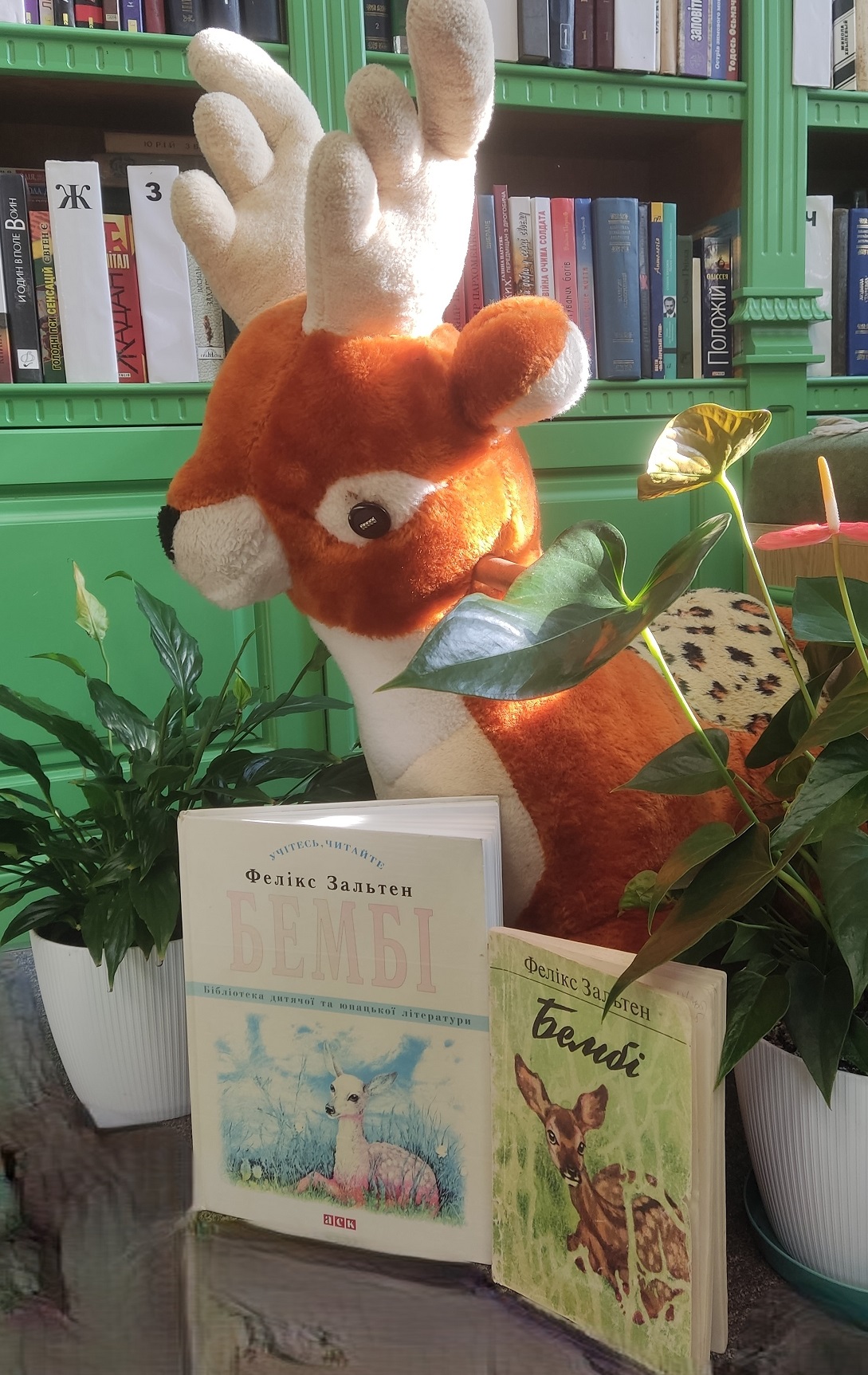 «Закон життя - це боротьба»;