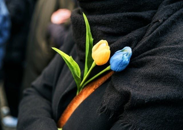 Жовто-синя надія…