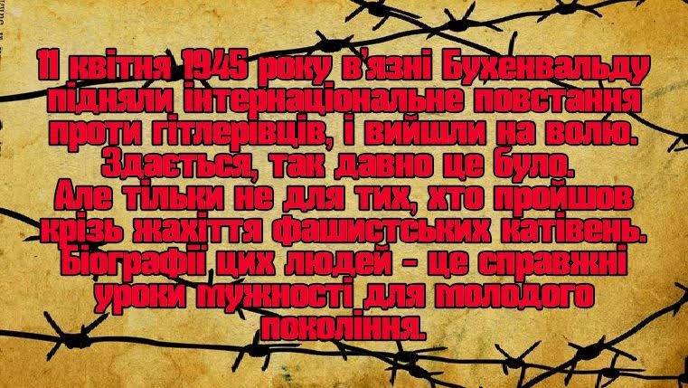 «Колючі дроти між життям і смертю»