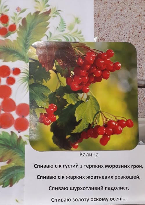 «Іван Драч: сонячний пролог поета»
